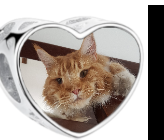 Charms • Zawieszka ze zdjęciem • Serce • Kotek 2