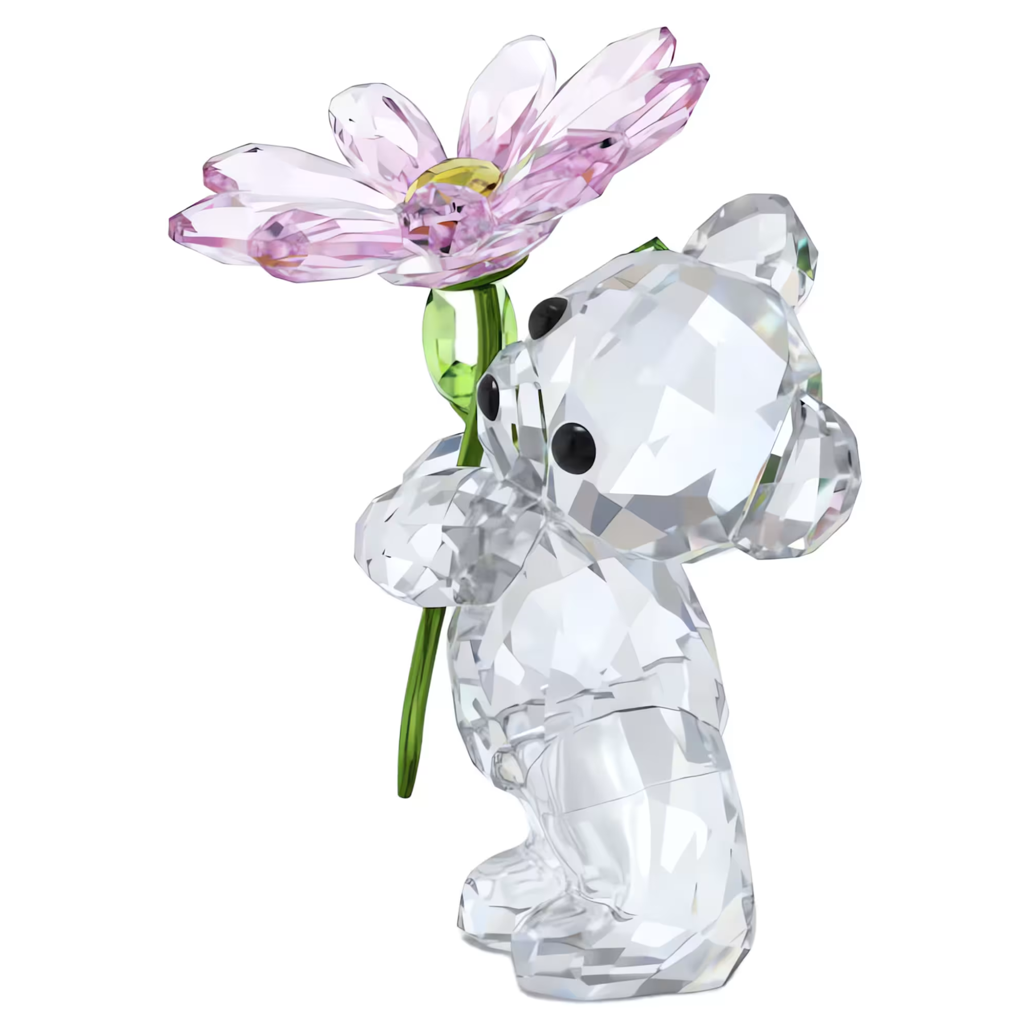 Figurka SWAROVSKI • Miś Kris a Daisy for you 5675327 2