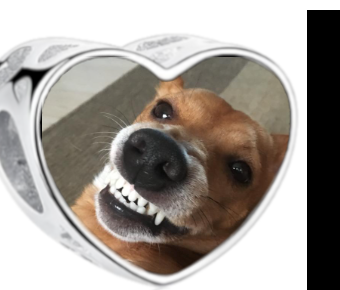 Charms • Zawieszka ze zdjęciem • Serce • Łapka 1