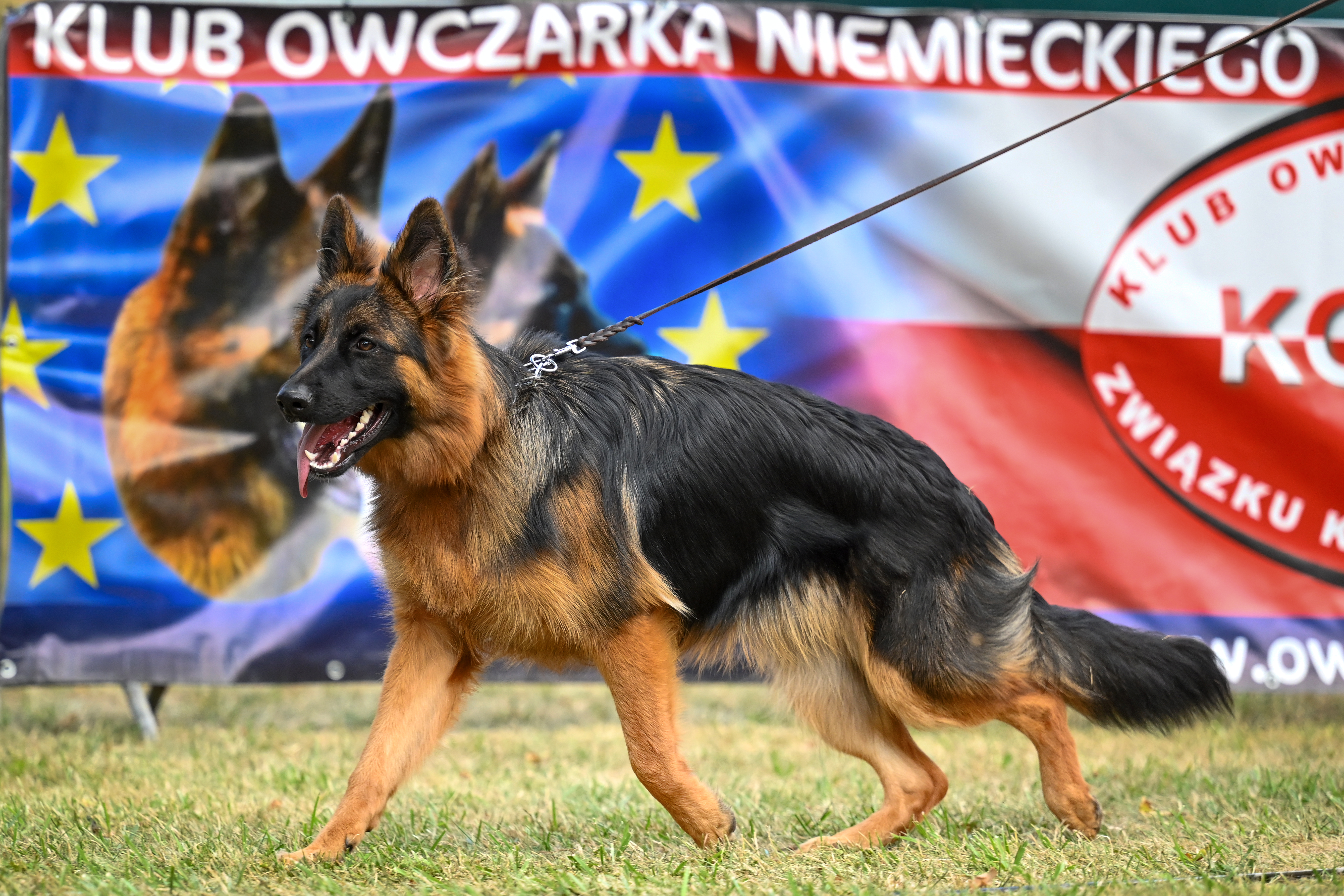 Charms • Zawieszka ze zdjęciem i grawerem • Serce ażurowe 1